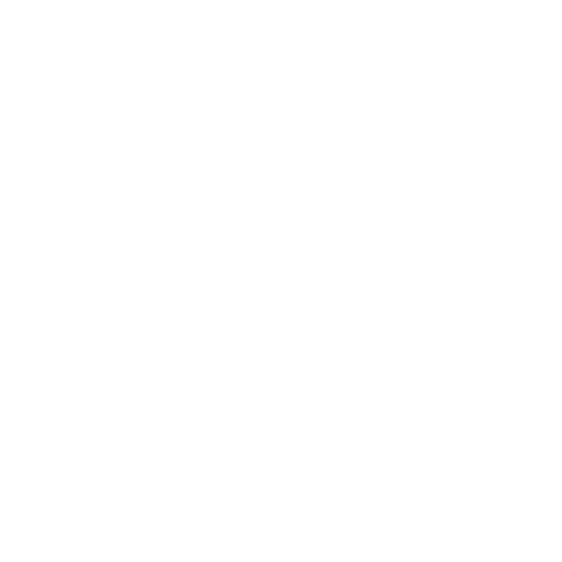 Developer
